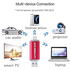 WANSENDA OTG USB Flash Drive 2 in 1 USB Photo Stick