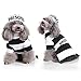 LUCKSTAR Prisoner Dog Costume - Prison Pooch Dog Halloween Costume Party Pet Dog Costume Clothes Cosplay with Hat for Teddy Pug Chihuahua Cat (Medium)