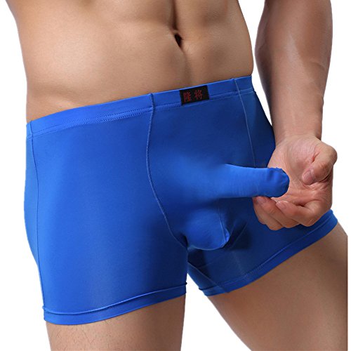 Clearance! ALT 2017 Men  s Underwear Sexy Temptation Separation Ice Silk Translucent JJ Sets (Large, Blue)