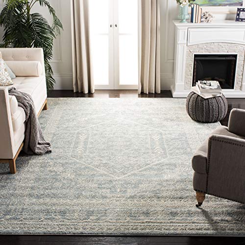 SAFAVIEH Adirondack Collection Area Rug - 9' x