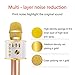 EMISH Wireless Karaoke Microphone 3-in-1 Microphone Speaker 2600mAh Portable Karaoke Machine Built-in Bluetooth Speaker Machine for iPhone Android Smartphone or Pc(Golden)