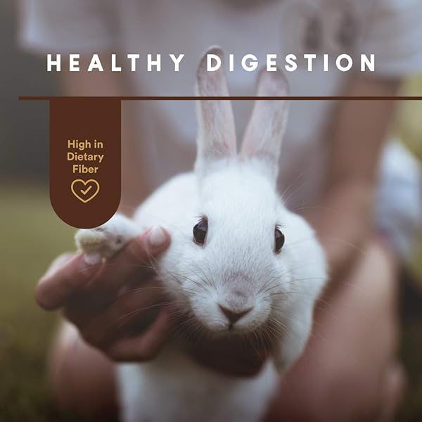MANNA PRO RABBIT FOOD WITH VITAMINS AND MINERALS, COMPLETE FEED FOR RABBITS, SUPPORTS HEALTHY GROWTH AND DIGESTION, NO ARTIFICIAL COLORS OR FLAVORS, 5 LB