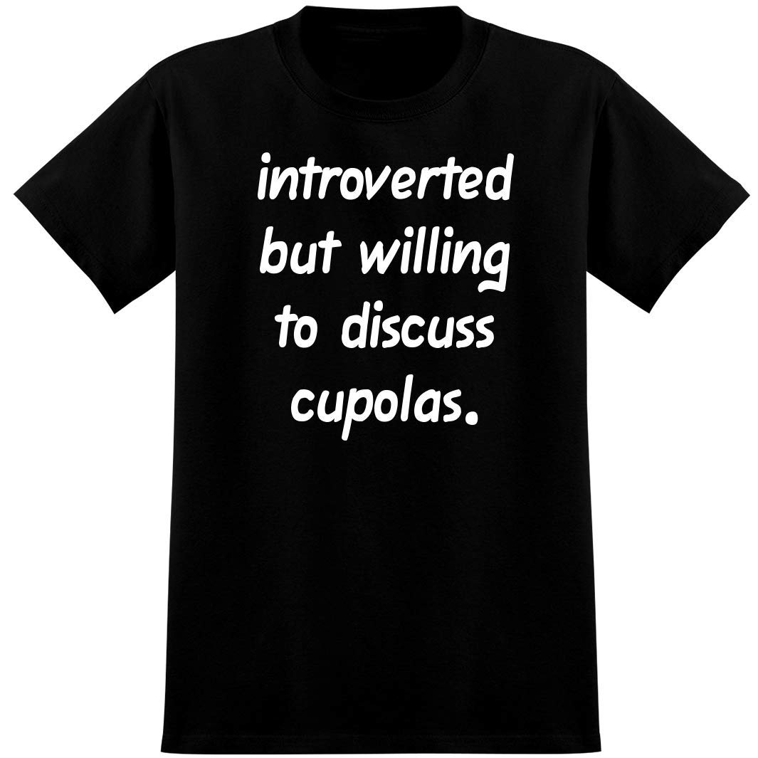 Introverted But Willing To Discuss Cupolas Soft T Shirt
