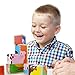 Professor Poplar's Barnyard Animals Stacking Puzzle Blocks, 9 Pieces