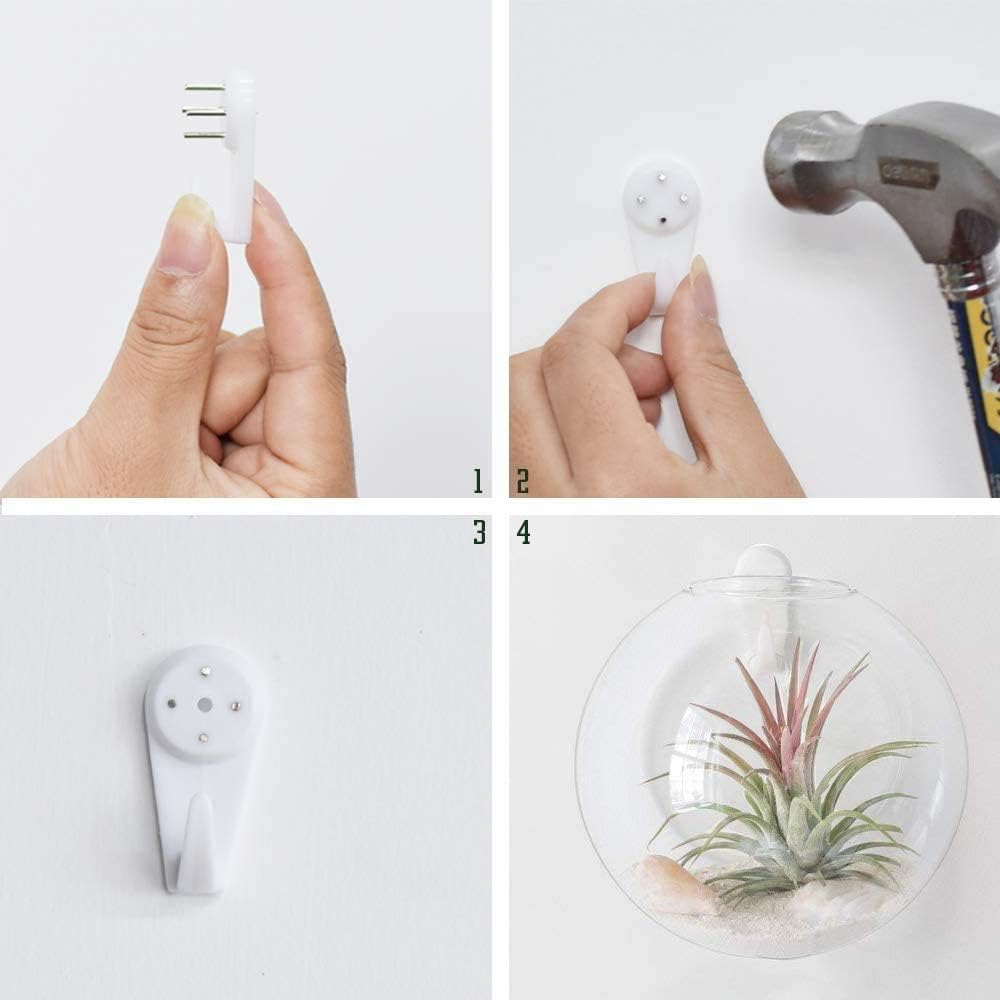 Set of 3 Wall Hanging Terrariums Indoor Plants Holders Wall Glass Vase for Flowers Wall Mounted Planters for Succulents Air Plants Wall Decoration for Sunroom Living Room: Garden & Outdoor