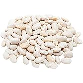 Navy Bush Beans Seeds - Approximately 50 Bean Seeds