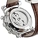 Carrie Hughes Men's Luxury Automatic Mechanical Brown Leather Watch CH338