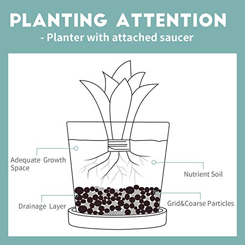 Greenaholics Plant Pots - 5.2Inch Cylinder Ceramic Planters with Connected Saucer, Pots for Succuelnt and Little Plants Set of 4, White - Thumbnail 3