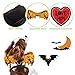 EXPAWLORER Halloween Costume Dog Harness and Leash Set with Detachable Wing and Label Adjustable Breathable Cotton Vest Black for Cats and Dogs Small