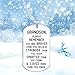 Elegant Chef Grandson Inspirational Jewelry Necklace Gift- Always Remember You are Braver Than You Believe