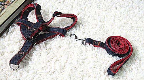 Durable Dog Leash Harness for Dogs, Heavy Duty and Adjustable Dog Harness Dog Training Leash Collar for Dogs
