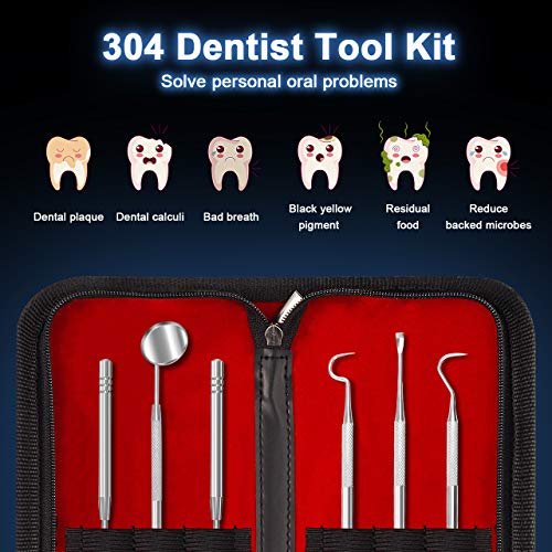 Dental Tools Professional Teeth Hygienist Kit Stainless Steel Dental Pick Cleaning Set to Remove Plaque Tartar,Tongue Scraper,Tooth Scaler,Mouth Mirror for Personal & Pet Oral Care Use