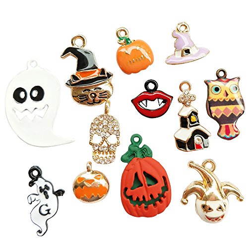 Dandan DIY Assorted 12pcs Halloween Alloy Charm Pendant Pumpkin Owl Ghost Skull Jewelry Making (Halloween Style)
