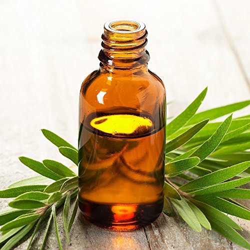 Vet's Best Hot Spot Spray for Dogs, 16 oz Dog Training