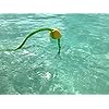 SandSk-Premium-PWC-Sand-Anchor-Heavy-Duty-500D-PVC-High-Visibility-Braided-Rope-Buoy-Stainless-Steel-Clips-Ideal-For-Kayaks-SUP SandSk-Premium-PWC-Sand-Anchor-Heavy-Duty-500D-PVC-High-Visibility-Braided-Rope-Buoy-Stainless-Steel-Clips-Ideal-For-Kayaks-SUP