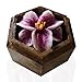 Jittasil Thai Hand-Carved Soap Flower, 4