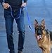 Max and Neo Triple Handle Traffic Dog Leash - Reflective, Donates to Dog Rescue (Blue)