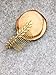 Aegenacess Wedding Hair Combs Decorative Leaf Leaves Bridal Hair Clip Laurel Greek Branch Boho Grecian Side Comb Accessories Headpieces for Brides and Bridesmaids Women Girls (Gold)