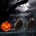 Prextex 6pcs Black-Feathered Small Crows Halloween Decorations | Outdoor&Indoor Decor | Fake Bird, Halloween Birds, Scary Ravens, Decorative Crows, Raven | Home, Fence, Porch, Tree, Party Decoration