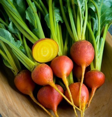 David's Garden Seeds Beet Touchstone Gold SL0001 (Gold) 200 Organic Seeds David's Garden Seeds Beet Touchstone Gold SL0001 (Gold) 200 Organic Seeds