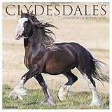 Clydesdales 2020 Wall Calendar by