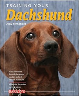 amazon dachshund