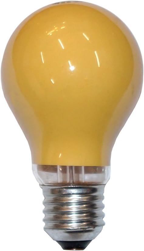 Leuchtmittel 25w E27 Orange Gluhlampe Gluhbirne 25 Watt Gluhbirnen Gluhlampen Party Garten Illu Amazon De Beleuchtung