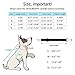 Pawaboo Adjustable Dog Safety Vest Harness with Seatbelt, Dog Seat Belt Harness for Car with Vehicle Connector Strap, Breathable Dog Seatbelt Safety Tether for Small Medium Large Pet, Large, Black