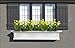 60 in. Yorkshire Window Box in White
