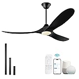 60 inch Black Ceiling Fan with Lights, Outdoor