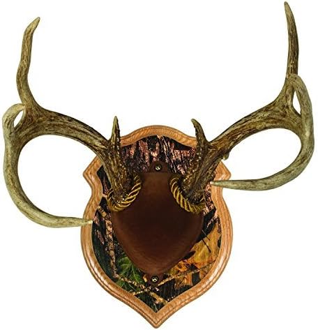 Walnut Hollow Country Deluxe Antler Mount & Display Kit, Oak with Camo by Walnut Hollow Country