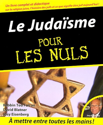 Download Le Judaïsme pour les Nuls PDF