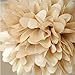 10pcs Khaki Tissue Hanging Paper Pom-poms, Hmxpls Flower Ball Wedding Party Outdoor Decoration Premium Tissue Paper Pom Pom Flowers Craft Kit Cream White