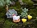Danmu Mini Resin Fairy Garden Figurines, Fairy Garden Miniatures, Fairy Garden Accessories, The Chickens and Eggs Set Miniature Plant Pots Bonsai Craft Micro Landscape DIY Decor