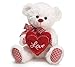 Gingham Love Bear 10