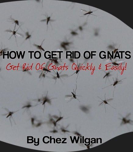 How To Get Rid Of Gnats – Get Rid Of Gnats Fast & Easy