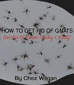 How To Get Rid Of Gnats Get Rid Of Gnats Fast Easy Kindle