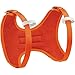 Petzl Kids' Macchu Body Climbing Harness