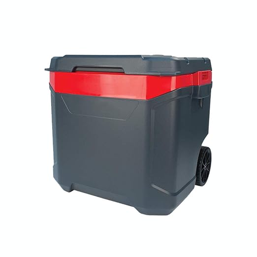LIYANBWX 56L/60QT - Nevera portátil con Ruedas y asa retráctil ...