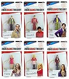 The Big Bang Theory Set of 6 Action Figures Series 1 - Leonard, Howard, Raj, Penny, Bernadette & Amy