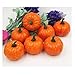 Ehdching Pack of 16 Artificial Realistic Fall Harvest Mini Pumpkins for Halloween Home Decoration (Pumpkin Color)