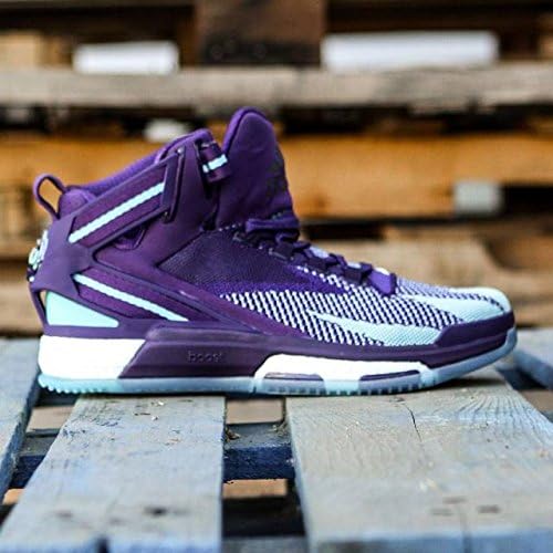 d rose primeknit 6