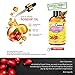 Precious Rosehip Seed Oil Organic Cold Pressed 4fl Oz, Origins Moisturizer For Face, Scar Treatment, Anti Wrinkle - Dilated Black Premium Makeup Sponge and Rose Gold Beauty Blender Holder