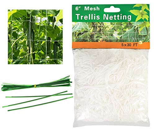 Hywean Ranknetz für Kletterpflanzen Rankhilfe mit 50 Kabelbinder Pflanzennetz Gartennetze Rankgitter Plant Support…