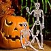 Halloween Skeleton- Full Body Posable Halloween Skeleton with Movable Joints for Best Halloween Decoration,Graveyard Decorations, Haunted House Accessories（2 Pack 16