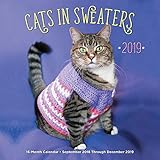 Cats In Sweaters 2019: 16-Month Calendar - September 2018 through December 2019 by 