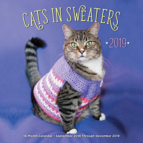 Cats In Sweaters 2019: 16-Month Calendar - September 2018 through December 2019 by 