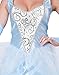 California Costumes Women's Classic Cinderella Costume X-Small