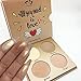Glow Kit 4 Color Illuminator Love Light Highlighter & Bronzer Shimmer Face Matte Palette