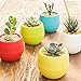 Mkono 4 Inch Small Succulent Planter Colorful Plastic Plant Flower Pots Set of 5, Mixed Color
